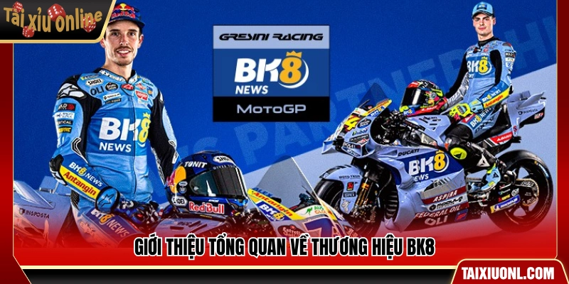 Khái quát thông tin và định hướng phát triển của BK8